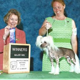 Chinese Cresteds and Manchester Terriers from Fantasy Kennels