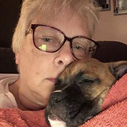 Boxer All Grown Up from Duck Creek Kennels