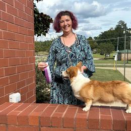 Satine - Pembroke Welsh Corgi