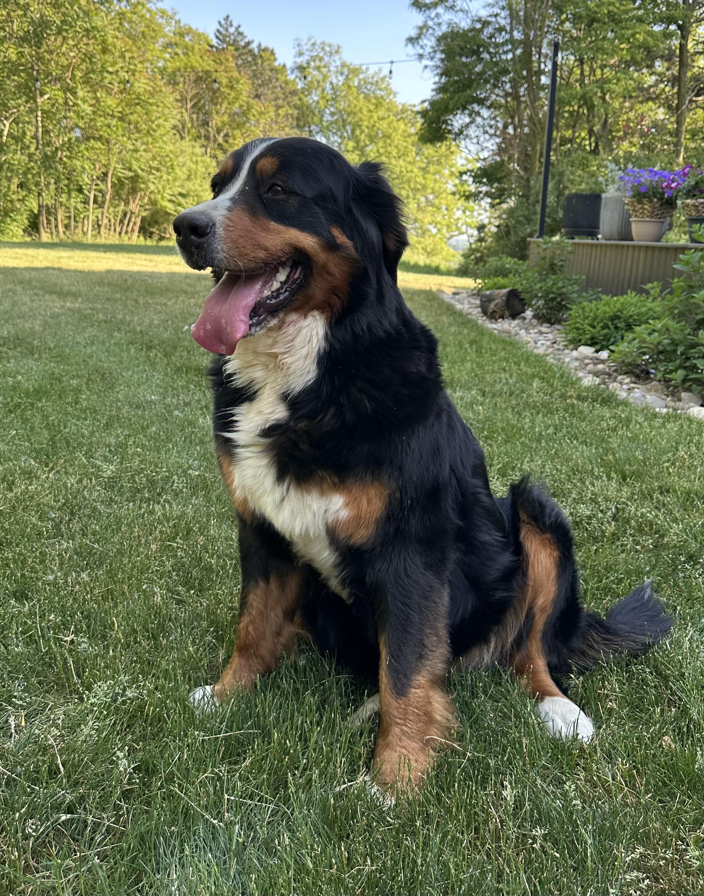 Riley