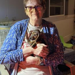 Sadie - Red female Dachshund puppy in Temecula, California from Naomi Magee's Dachshund Kennel