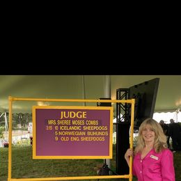 German Shepherd Puppies from Kaleef German Shepherds