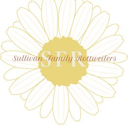 Rottweilers from Sullivan Family Rottweilers