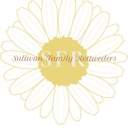 Rottweilers from Sullivan Family Rottweilers