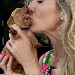 Vizsla Puppies from Mariposa Vizslas