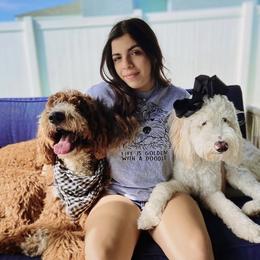 Goldendoodle Puppies from The Doodle House