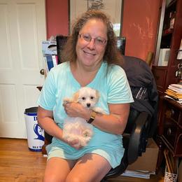 Coton de Tulear and Poodle Puppies from Legacy Pets