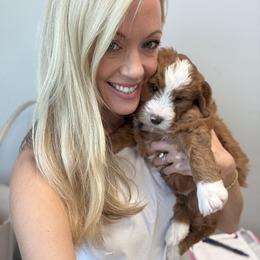 Bernedoodle Puppies from Palmetto Bernedoodles Boutique