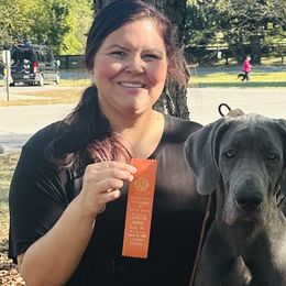English Springer Spaniels and Great Danes from Balthrop Bend Farms