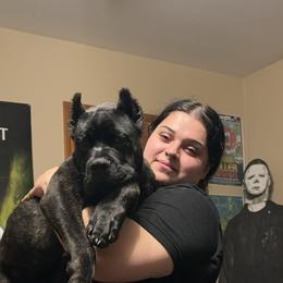 Cane Corso Puppies from Kyrell Johnson