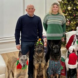 German Shepherds from Barrage K9