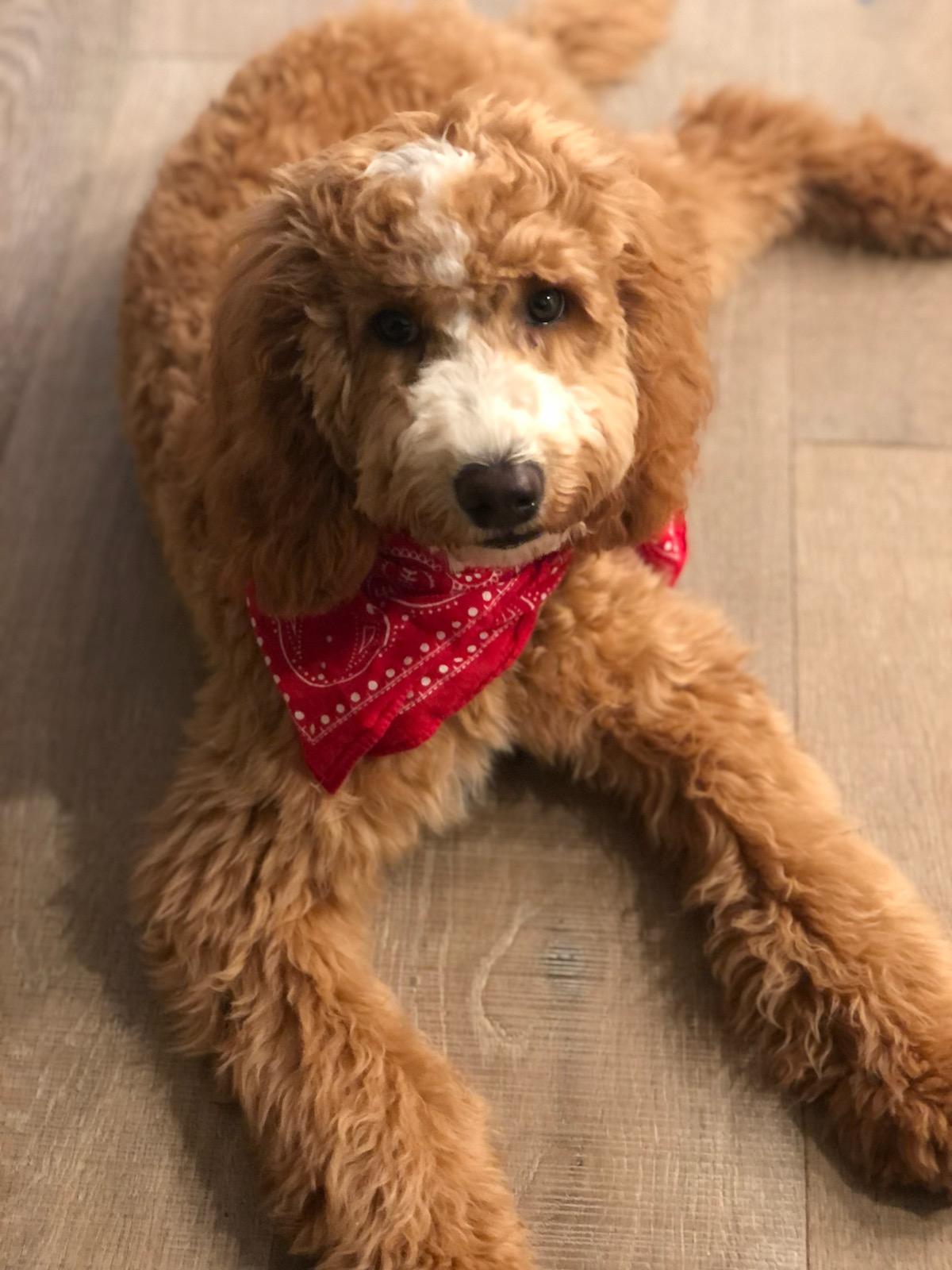Coco