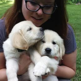 Golden Retrievers from Wonder Goldens