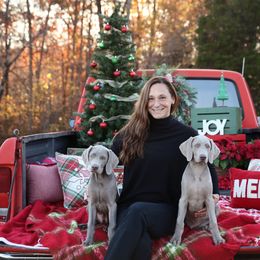 Weimaraner Puppies from So-IN Weimaraner's