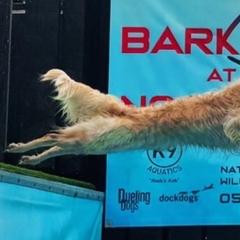 Mudis from Selenite Mudi