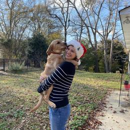 Labrador Retriever Puppies from Spring Water Labs of the Carolinas