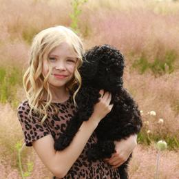 Australian Labradoodle Puppies from Tiny Treasures Australian Labradoodles