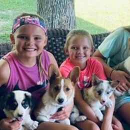 American Corgis and Pembroke Welsh Corgis from 101 Corgis