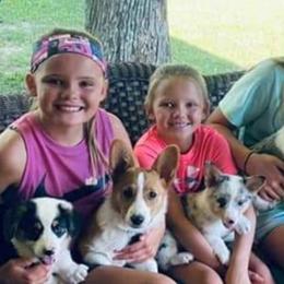 American Corgis and Pembroke Welsh Corgis from 101 Corgis