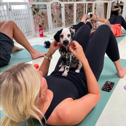 Reed - White and black male Dalmatian puppy in Adkins, Texas from Rock'N'Spark Dalmatians