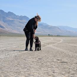 Anatolian Shepherd Dog and Labrador Retriever Puppies from Learning With Dogs
