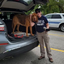 Bloodhounds from Bluehaven Bloodhounds