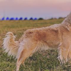 Mudis from Selenite Mudi