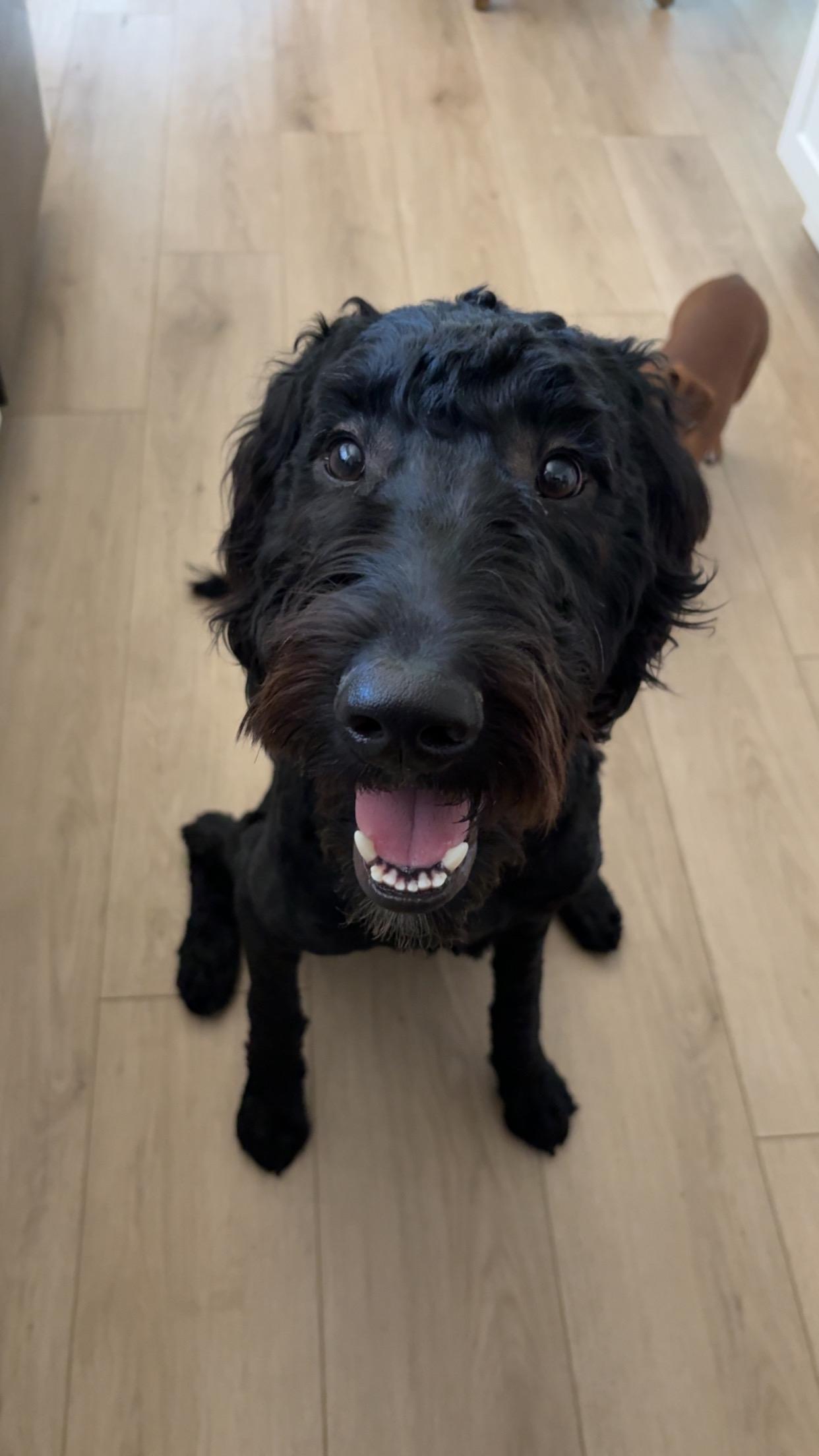 Milo