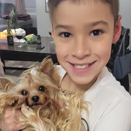 Yorkshire Terriers from Narnian Yorkies