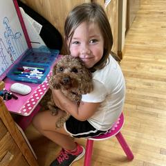 Goldendoodles from Henderson Farm and Home