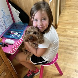Goldendoodles from Henderson Farm and Home