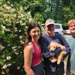 Rags - Cream male Labradoodle puppy in Durham, North Carolina from River Home Doodles