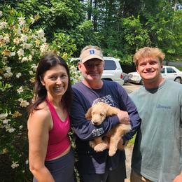 Rags - Cream male Labradoodle puppy in Durham, North Carolina from River Home Doodles