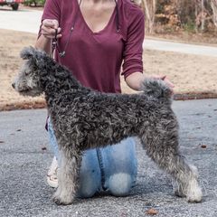 Elly - Pumi