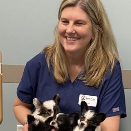 Papillon Puppies from Heise Papillons