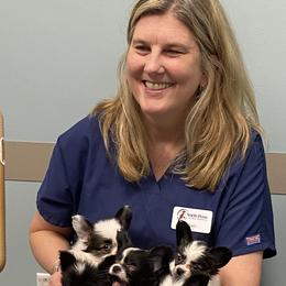 Papillon Puppies from Heise Papillons