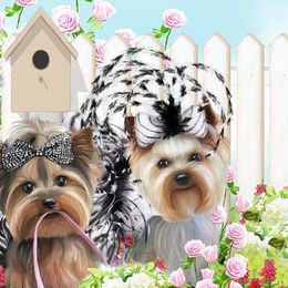 Yorkshire Terriers from Peppy Puppy Palace