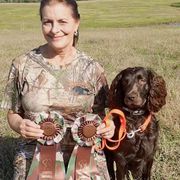 Boykin Spaniel All Grown Up from DrWatson Boykin Spaniels