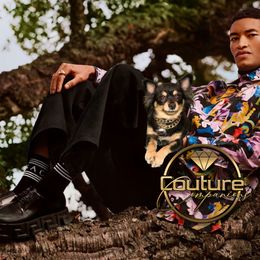 Chihuahua All Grown Up from Couture Companions