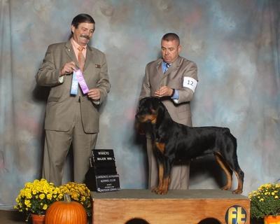 Armata Rottweilers in Virginia | Rottweiler puppies | Good Dog