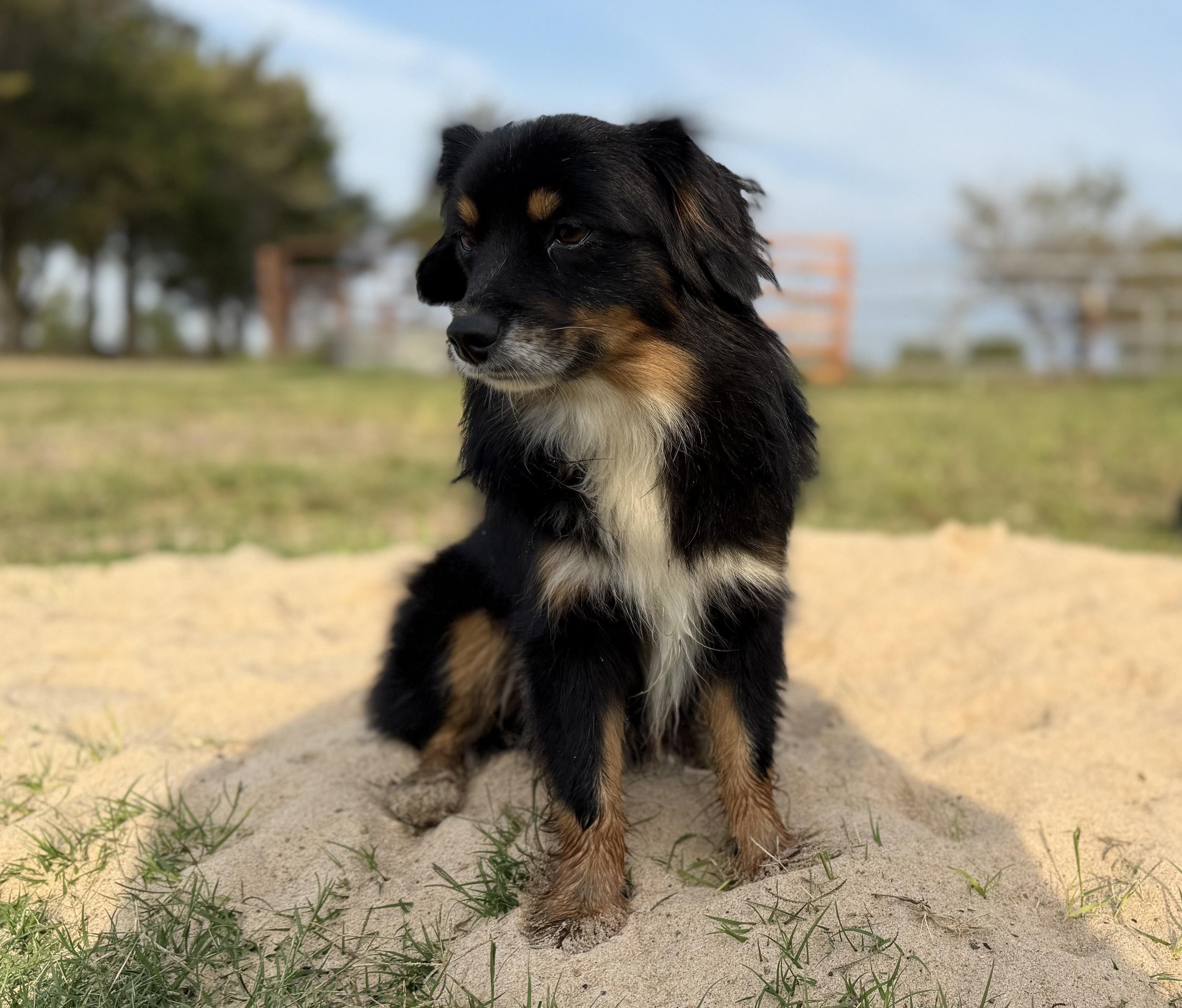 Max