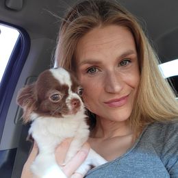 Roulette - Chihuahua