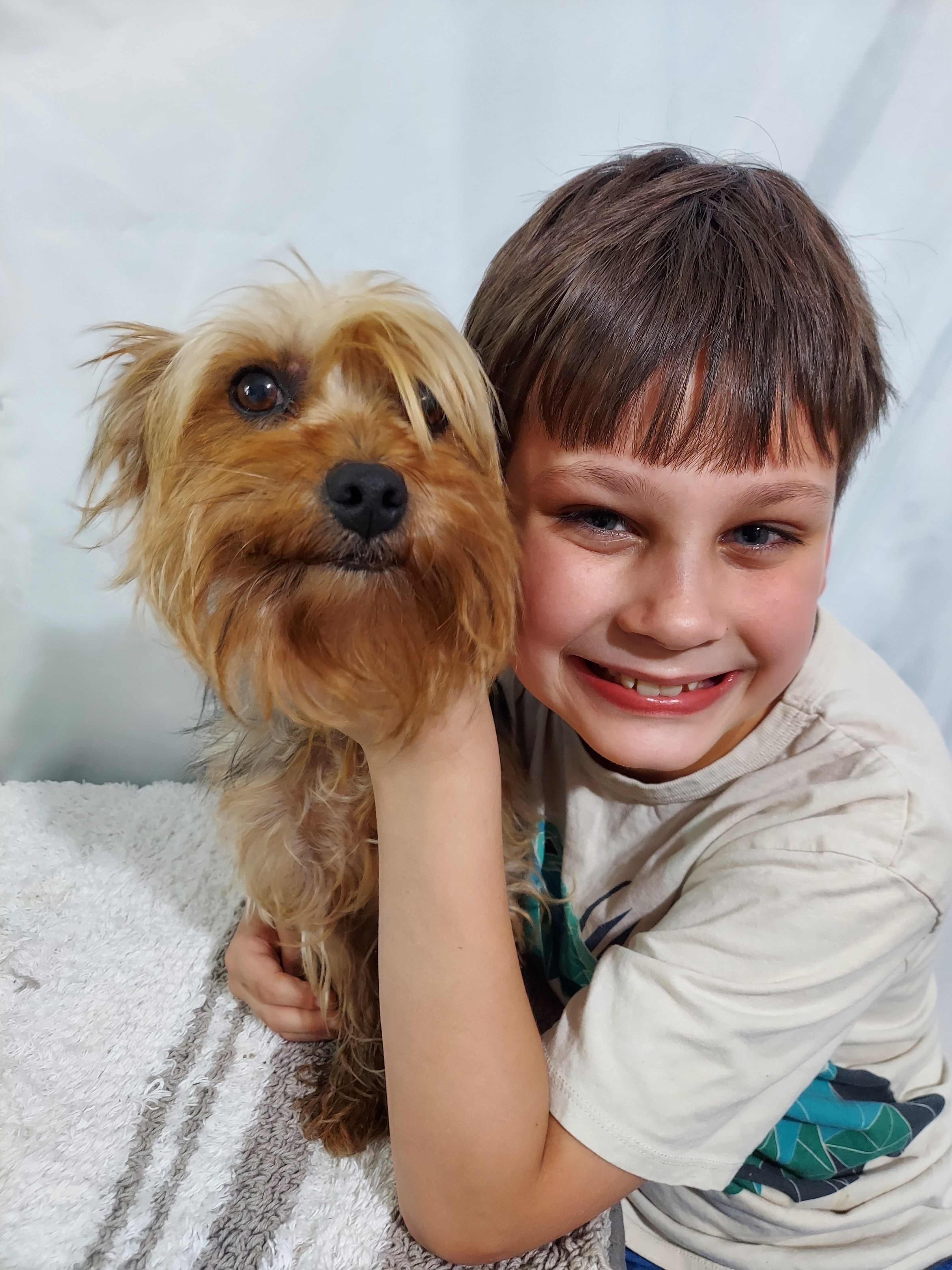 Paise - Yorkshire Terrier