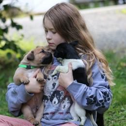 Boerboel Puppies from Northland Boerboels