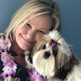 Roxy - Shih Tzu