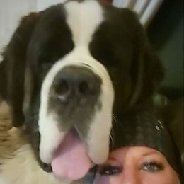 Goose - Saint Bernard