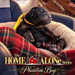 Home Alone Series - Phantom male Goldendoodle puppy in Houston, Texas from Were The Mack'Doodles Mack’Poodles