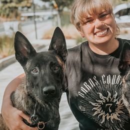 Dutch Shepherds from Pytka Performance K9