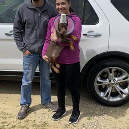 Doberman Pinscher Puppies from Jensen Dobermans