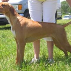 Ansa - Pointer